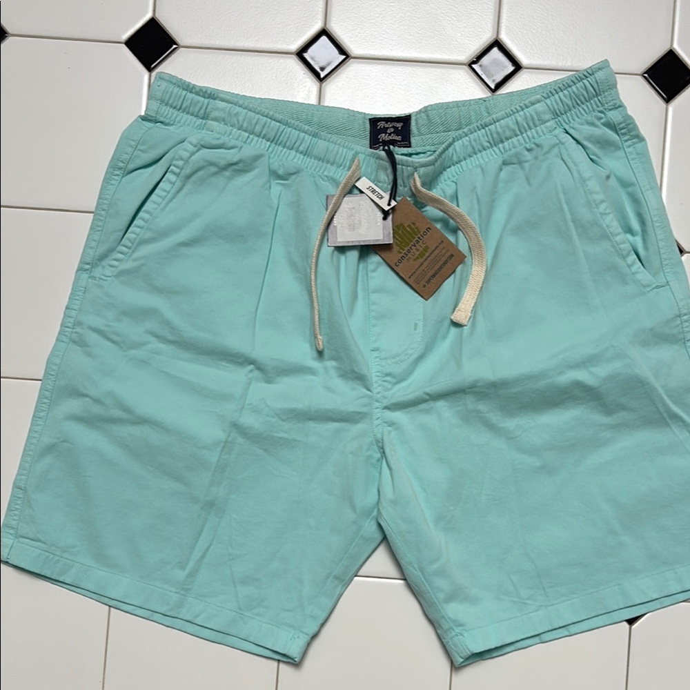 Aqua Shorts